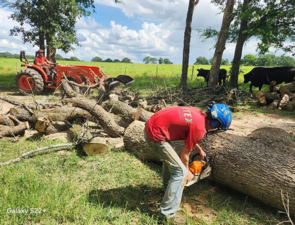 About Us - Powers Tree Service