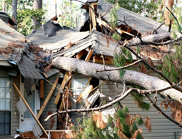 Reliable Post-Storm Tree and Debris Removal in Henderson, TX