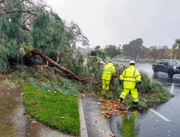 Emergency Storm Cleanup Services in Glendale, TX