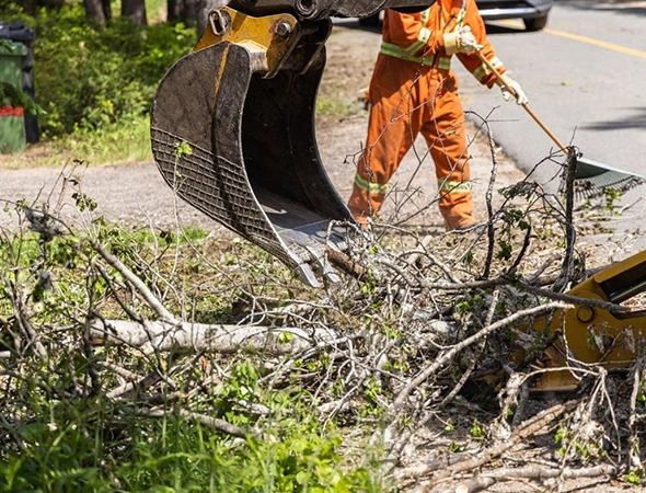 Why Choose Our Storm Cleanup Services