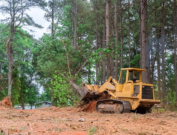 Benefits of Hiring Land Clearing Contractors