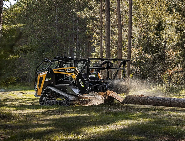 Top-Rated Brush and Tree Removal Experts in Longview, TX