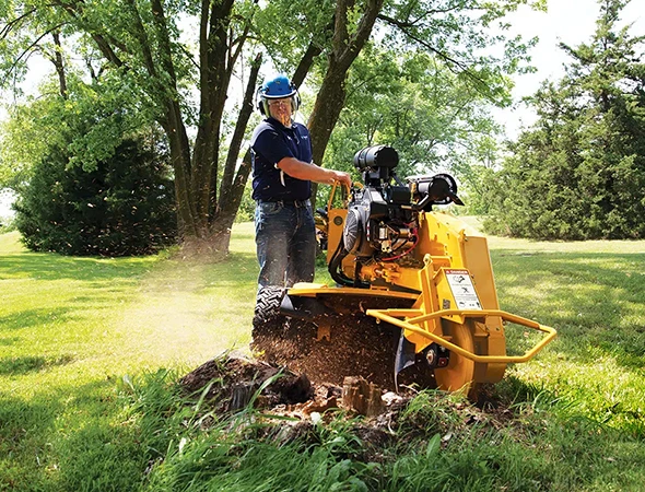 Professional Stump Grinding Company in Henderson, TX