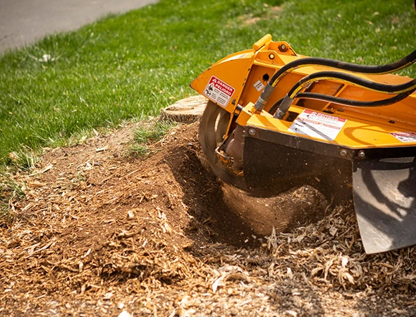Reliable Stump Grinding Services in Longview, TX