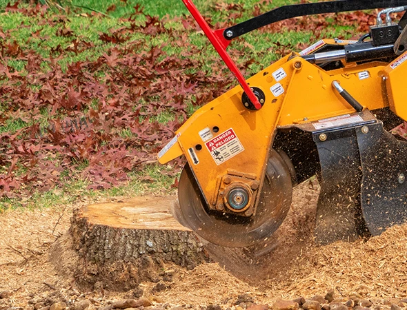 Professional Stump Grinding Services in Longview, TX
