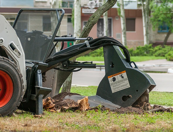 Expert Storm Cleanup Services in Henderson, TX