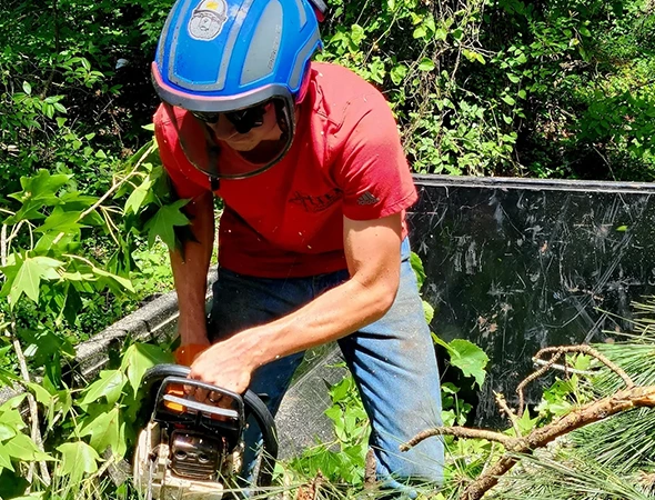Best Tree Trimming Company in Tyler, TX