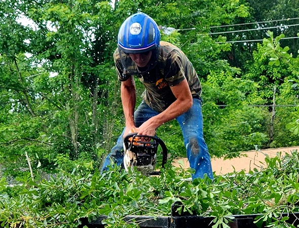 Residential Tree Trimming and Hauling in Athens, TX