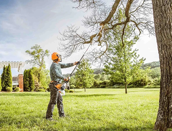 Best Tree Pruning Company in Palestine, TX