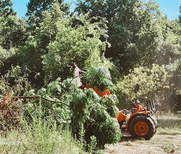 Why Choose Us - Powers Tree Service